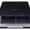 Epson Scanner V19