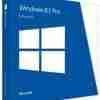 Windows 8.1 Professional