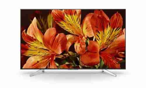 65" BRAVIA 4K HDR Professional Display