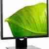 Dell P1917S 19 inches HD Monitor