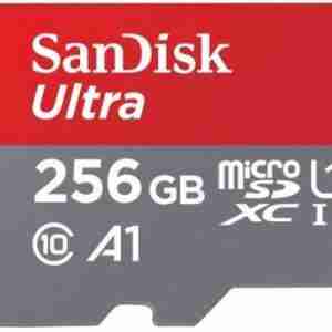 SanDisk MicroSD CLASS 10 98MBPS 256GB,SDSQUAR-256G-GN6MA