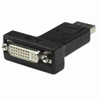Dp dvi 24+5 adapter