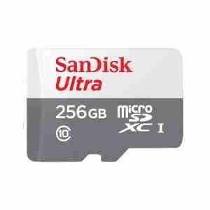 SanDisk MicroSD CLASS 10 100MBPS 256GB without Adapter