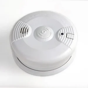 Asenware AW GT-D611 conventional standalone Smoke