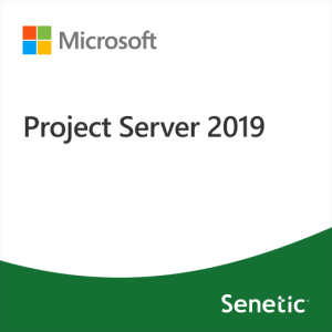 Project Server 2019 - DG7GMGF0F4MH-3