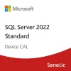 SQL Server 2022 1 Device CAL - DG7GMGF0MF3T-1