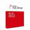 SQL Server 2022 1 User CAL - DG7GMGF0MF3T-2
