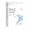 SQL Server 2022 Standard Edition - DG7GMGF0M80J-2