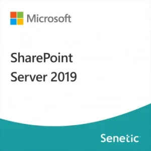 SharePoint Server 2019 - DG7GMGF0F4LT-2