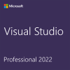 Visual Studio Professional 2022 - DG7GMGF0D3SJ-3