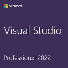 Visual Studio Professional 2022 - DG7GMGF0D3SJ-3