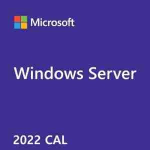 Windows Server 2022 1 User CAL - DG7GMGF0D5VX-7
