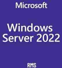 Windows Server 2022 CAL 1 User CAL 1 year - DG7GMGF0D5VX-4