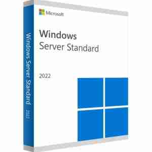 Windows Svr Std 2022 64Bit English 1pk DSP OEI DVD 16 Core - P73-08328