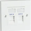 Aico Dual Faceplate CAT6