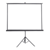 Auto Electric Projector Screen 243x243 cm Fully Extended View Motorized Projector Screen 96x96 Inches Front View Electric Projector Screen with Wall or Ceiling Mounting Options Auto Electric Projector Screen for Home Cinema Setup Silent Motorized Projector Screen Operation Close-up Auto Electric Projector Screen High-Gain Surface Material