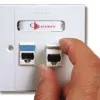 Siemon CAT6 Dual Faceplate