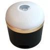 Ecoflow camp Torches
