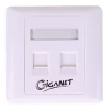Giganet 2-port Single-Gang Shuttered Keystone Faceplate (GN-FP-02)