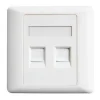 Easenet CAT6 Dual Faceplate